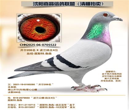 ������ԡ�Դ������4��ȫƽ��