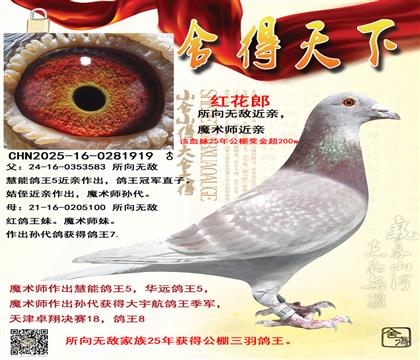 �����죬�����޵н���