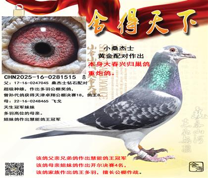 ɣ��ʿ�ƽ���ԣ����˹鳲��