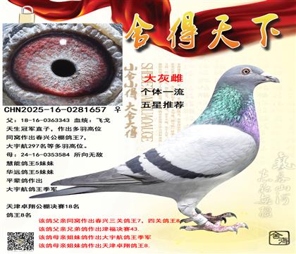 �����ھ�ֱ��