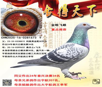 ���˾���34��ͬ��ƽ��