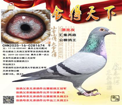 �����ھ�ƽ��