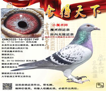 ħ��ʦ��������