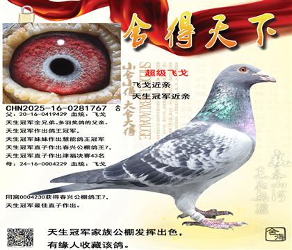 �����ھ���������