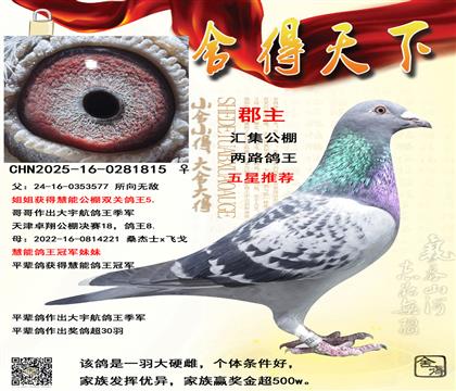 �����������ͬ�䷽