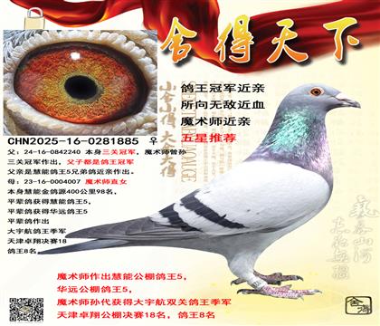 �����޵н��ף��ر��Ƽ�