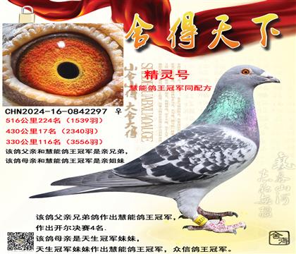 ���ܸ����ھ�ͬ�䷽���ɼ���