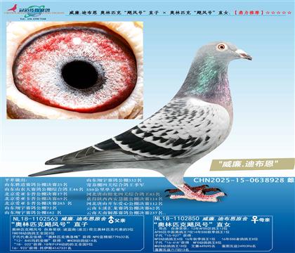 ����.�ϲ��� ����ƥ�ˡ�쫷�š�ֱ�� �� ����ƥ�ˡ�쫷�š�