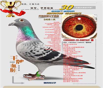 �ƽ�������