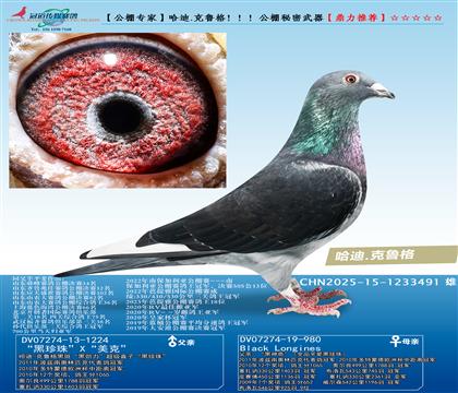 ����.��³�񣡣���������������