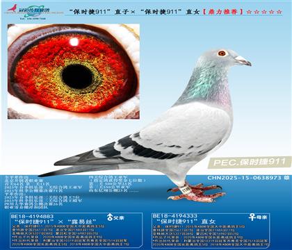 ����ʱ��911��ֱ�ӡ�����ʱ��911��ֱŮ