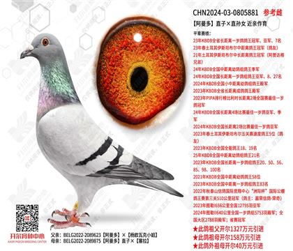 ������ֱ�ӡ�ֱ��Ů ��������