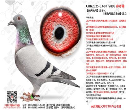 �������ֱ�ӡ�ͼ�պ��������ֱŮ