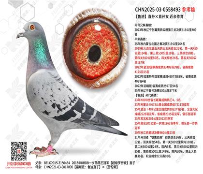 ³��ֱ���ֱ��Ů ��������