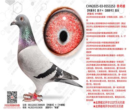 ������ֱ�ӡ����ܺ�ֱŮ