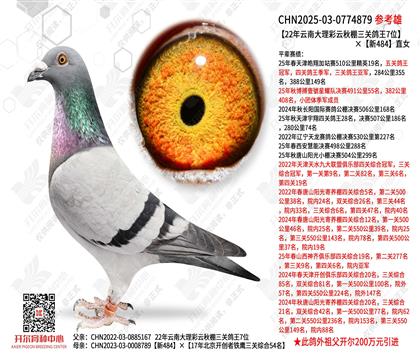 22�����ϴ��������������ظ���7λ����484ֱŮ