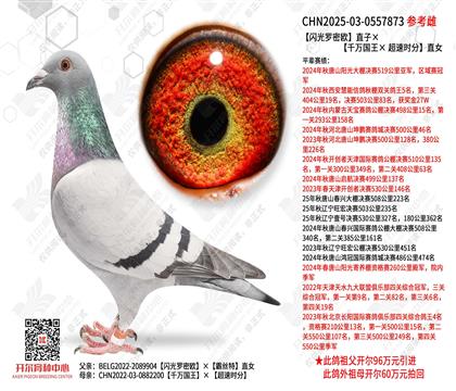 ��������ŷֱ�ӡ���ǧ������� ����ʱ�֡�ֱŮ