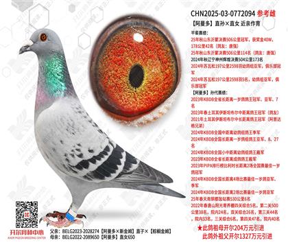 ������ֱ���ֱŮ ��������