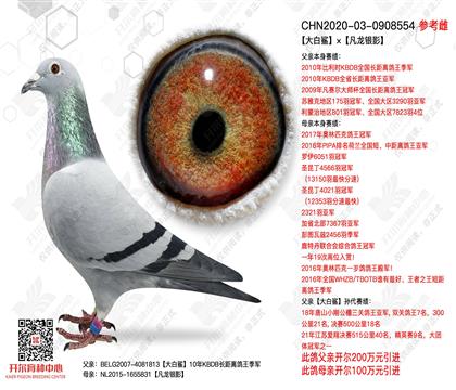 ������������Ӱ