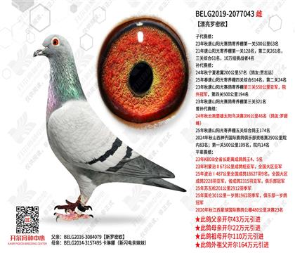 Ư������ŷ