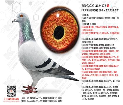 �������������ֱ�ӡ�ֱŮ  ��������