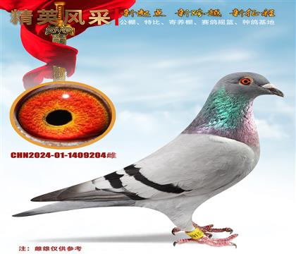 �������и�Է��������