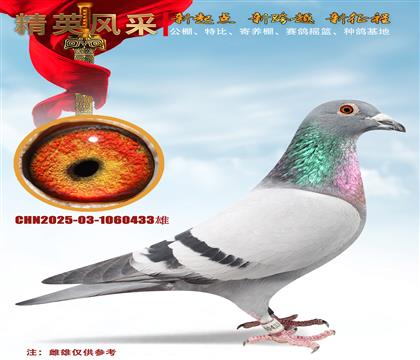 �������Ĺذ���ͨ��