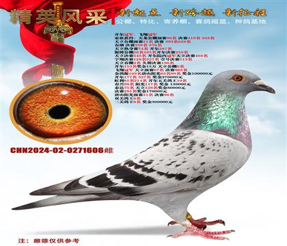 �����ھ����塢�����ո��