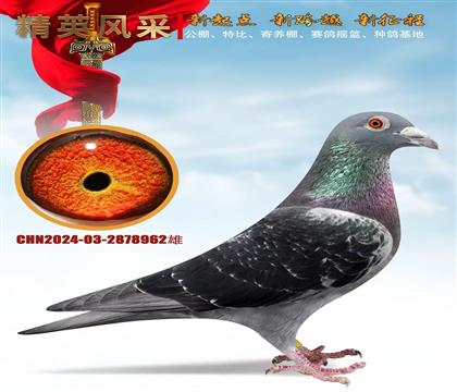 �����ھ����塢��������962