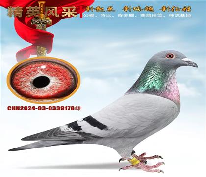 530����23��������500����