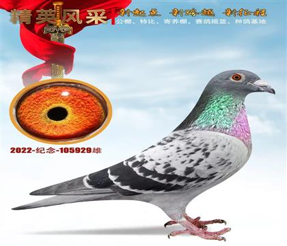 ������������ԡ��Ǳ�