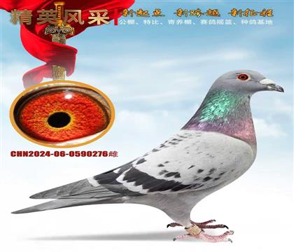 ���־�Ѫϵ����888