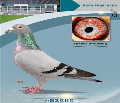 ����614X061ɣ��ʿֱ��337X����926ֱŮ239