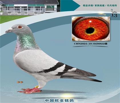 �Ǳ�ԭ��³��148X³��098