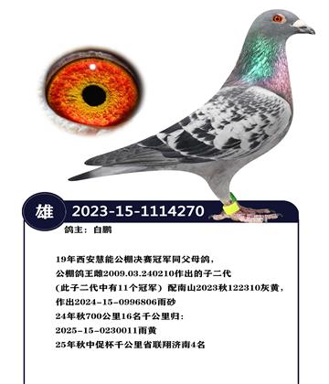 19���������ܹ�������ھ�ͬ��ĸ��