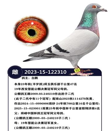 ����23����(�����)˴����ֲ��ɹ���47��