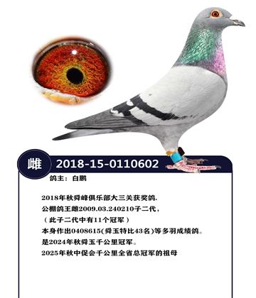 2018����˴����ֲ������ػ񽱸�