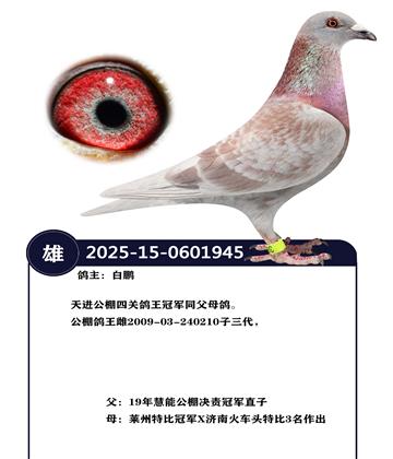 ��������Ĺظ����ھ�ͬ��ĸ��