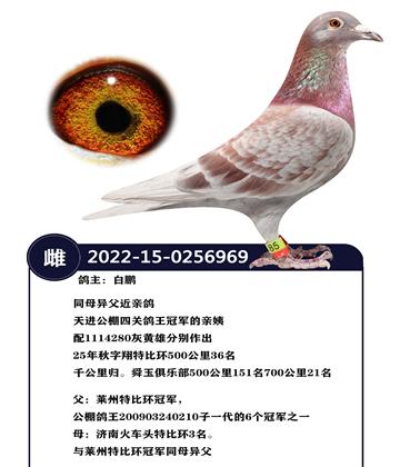 ��������Ĺظ����ھ�������