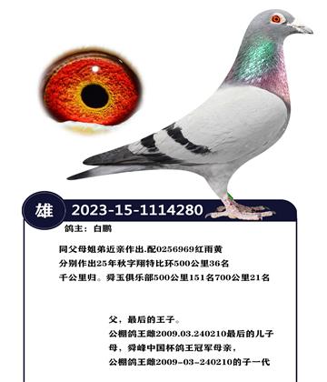 �����ָ�