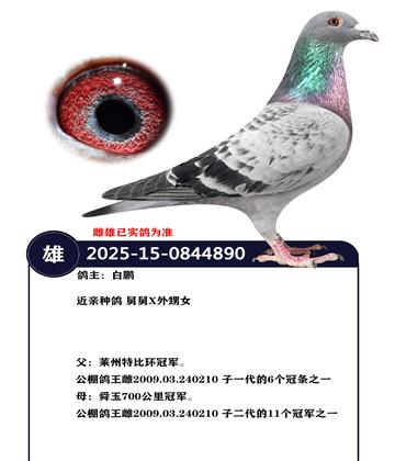 �����ָ�