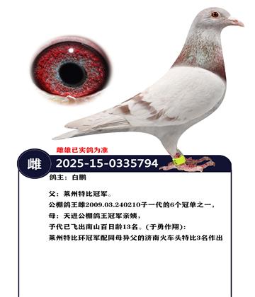 �����ָ�