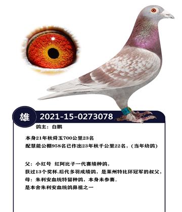 ����21����˴��700����23��