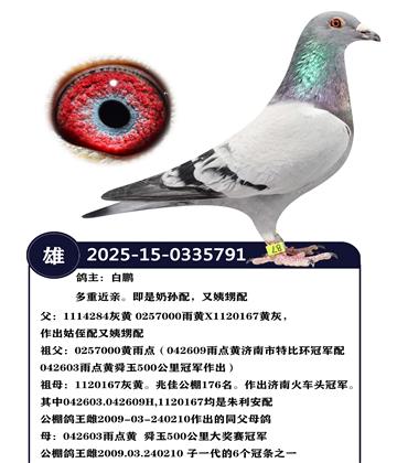 �����ָ�