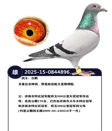 ���ؽ����ָ�