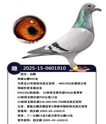 ˴�幫��900��