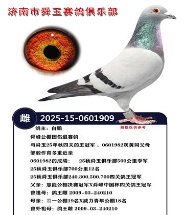 ���ؽ����ָ�