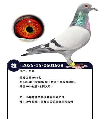 �����ָ�