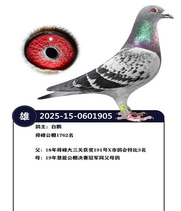 ˴�幫��1762��