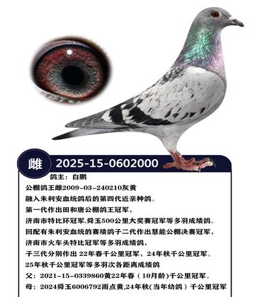 �����ָ�